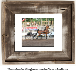 horseback riding near me in Cicero, Indiana